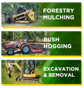 Coastal Brush Control Our Services