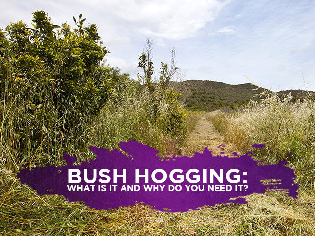 Bush-Hogging-What-Is-It-and-Why-Do-You-Need-It