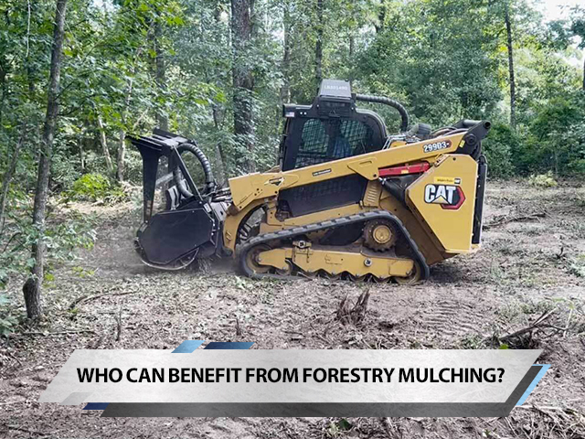 Who Can Benefit From Forestry Mulching