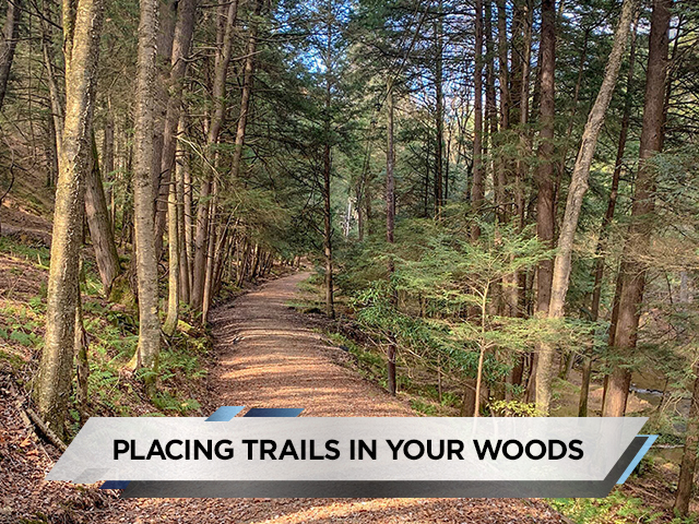 Placing Trails in Your Woods